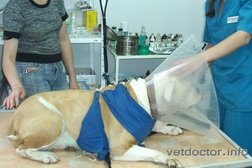 Ветеринарная клиника Ветдоктор, с рейтингом 3.4 - находится по адресу Московская область, Балашиха, Учительская улица, 18 