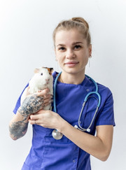 Ветеринар, ветеринарный врач УЗИ Екатерина Николаевна Басакина
