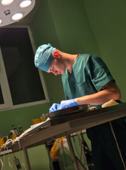 Ветеринарный ортопед, ветеринар Алексей Васильевич Рожков