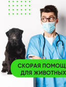 Кузнецов Владимир