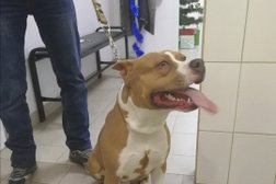 Ветеринарная клиника Зоополис, с рейтингом 2.8 - находится по адресу Иркутск, Ядринцева, 1/10 