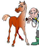 Володарский Матвей Александрович