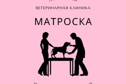 Ветеринарная клиника Матроска, с рейтингом 4.9 - находится по адресу Москва, район Новокосино, 111673, Новокосинская улица, 7 