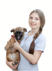 Ветеринарный врач-терапевт, ветеринарный стоматолог Надежда Алексеевна Лоренц