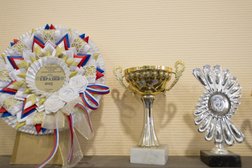 Ветеринарная клиника АльтерВет, с рейтингом 2.8 - находится по адресу Санкт-Петербург, Художников проспект, 11 