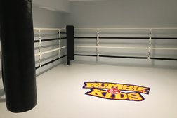 Спортивный клуб Rumble Kids, с рейтингом 3.8 - находится по адресу Москва, Столярный переулок, 2 