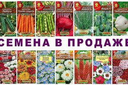 Магазин Знак зодиака, с рейтингом 2 - находится по адресу Республика Коми, Ухта, Семяшкина, 8в 