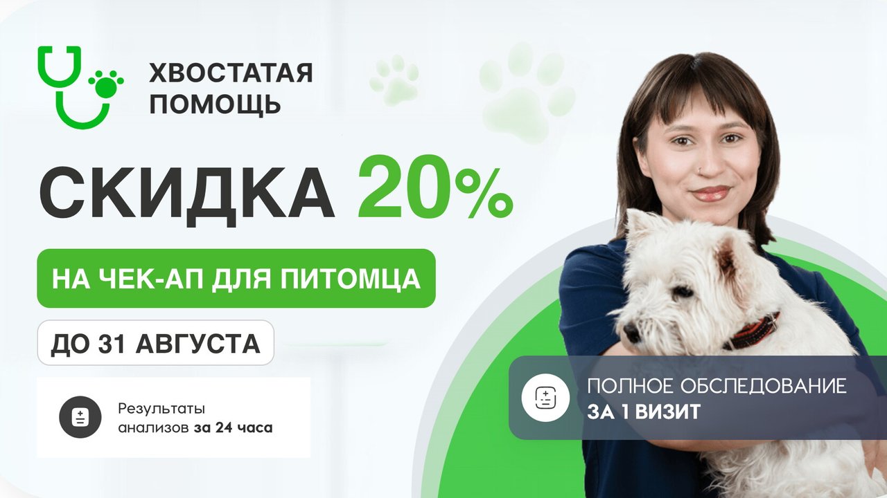 фотография Ветеринарной клиники Хвостатая помощь в Бронницком переулке, 1