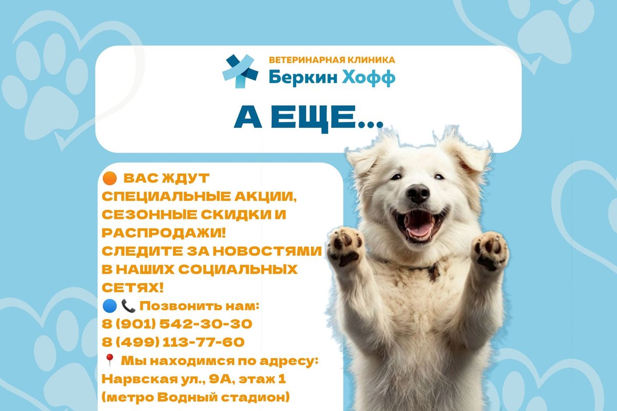 фотография Ветеринарной клиники Беркин хофф на Нарвской улице