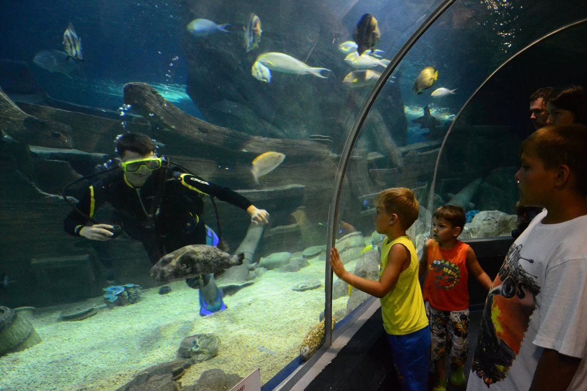 Сочи, океанариум Sochi Discovery World Aquarium