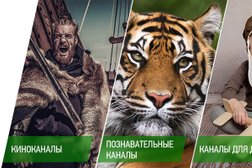 Телекоммуникационная компания НТВ-Плюс, с рейтингом 5 - находится по адресу Московская область, Кашира, Садовая улица, 32 