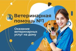 Выездная ветеринарная служба ЗООВЕТ-Дом, с рейтингом 5 - находится по адресу Москва, Новомосковский административный округ, посёлок Коммунарка, Фитарёвская улица, 19 