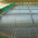 фотография Cooltennis