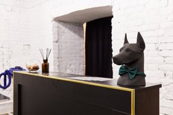 Зоопарикмахерская Eka Groom, с рейтингом 4.9 - находится по адресу Санкт-Петербург, Сапёрный переулок, 19 