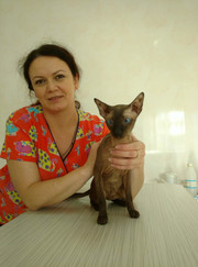 Ветеринарный врач-офтальмолог, ветеринар Ирина Петровна Семирозуб