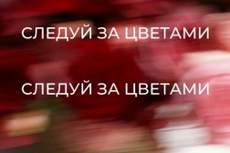 Мастерская цветов и подарков Следуй за цветами, с рейтингом 4.8 - находится по адресу Московская область, Одинцовский городской округ, рабочий посёлок Заречье, Каштановая улица, 14с1А 