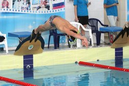 Speed swimmer