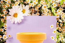 Магазин DragonGo, с рейтингом 3.5 - находится по адресу Владивосток, Дубовая улица, 10В 