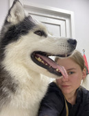 Кутузова Светлана