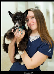 Ветеринар, ветеринарный врач УЗИ Наталья Андреевна Виноходова (Бобылева)