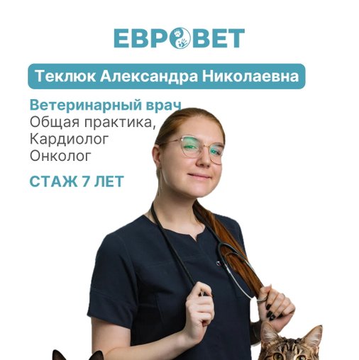 Александра Николаевна Теклюк