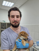 Стыриков Александр Алексеевич