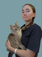 Ветеринарный врач-терапевт, ветеринар Алиса Евгеньевна Туголукова