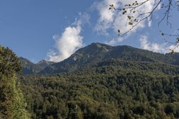 Глэмпинг Дзен Рекавери, с рейтингом 3 - находится по адресу Сочи, Адлерский район, Краснополянское лесничество, квартал 36, выдел 46 