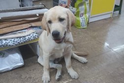 Зоомагазин ZooMarket.kz, с рейтингом 5 - находится по адресу Алматы, Ауэзова, 32 