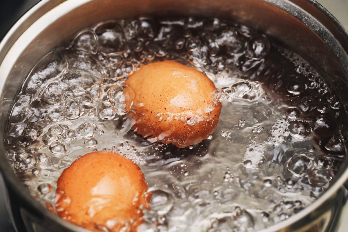 Как варить яйца