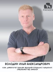 Ветеринарный врач-терапевт, ветеринар Илья Александрович Володин