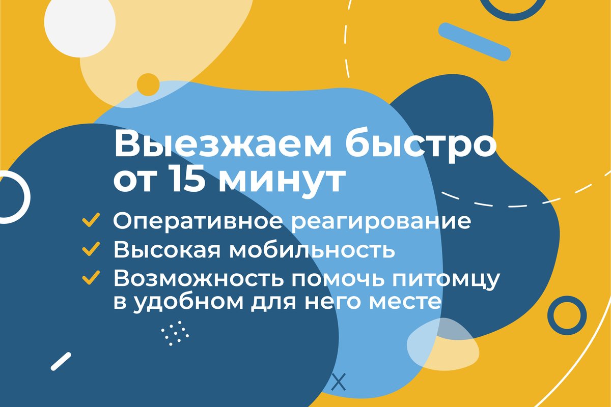 фотография Выездной ветеринарной службы ЗООВЕТ-Дом в Мытищах