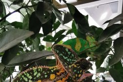 Музей насекомых Экзотариум, с рейтингом 4.3 - находится по адресу Ставропольский край, Пятигорск, проспект Кирова, 18 