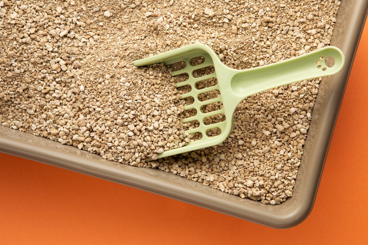 Лоток с наполнителем