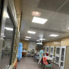 фото от пользователя Ирина Полиолог в отзыве о ветеринарной клинике Зоовет на 2-ой Магистральной улице, 16 стр 7