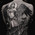 фотография Rtattoo