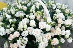 Оптовый склад цветов Ангар Цветов, с рейтингом 3.7 - находится по адресу Московская область, Подольск, Парковая улица, 48 
