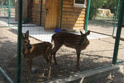 База отдыха Лазурит, с рейтингом 2.3 - находится по адресу Волгоградская область, пос. Куйбышев, Октябрьская улица, 48 