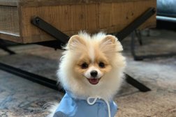 Груминг-салон Pet SPA peach, с рейтингом 4 - находится по адресу Москва, улица Маршала Захарова, 3 