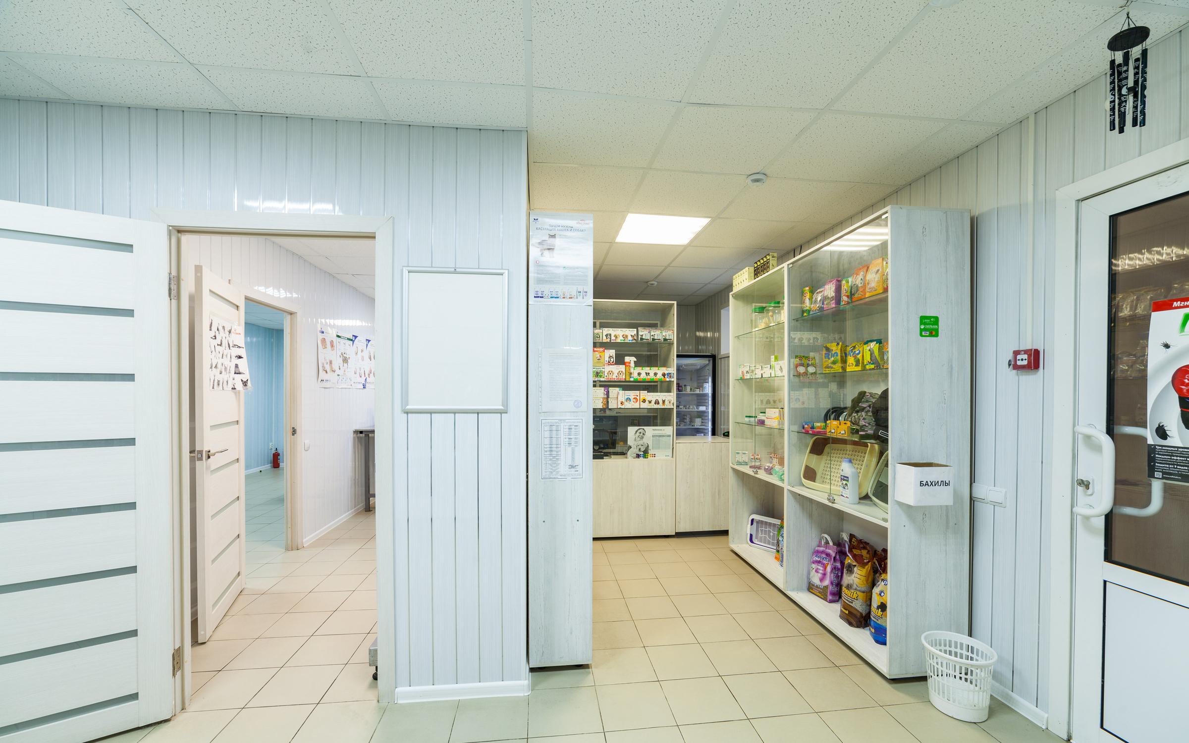 veterinarnaya klinika cheshirskij kot na ulice pirogova otzyvy foto ceny ryazan zoon ru