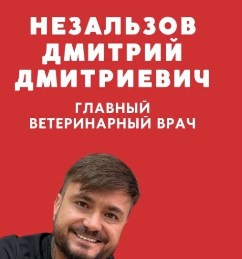 Дмитрий Дмитриевич Незальзов
