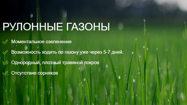 Каталог - sibsad-nsk.ru