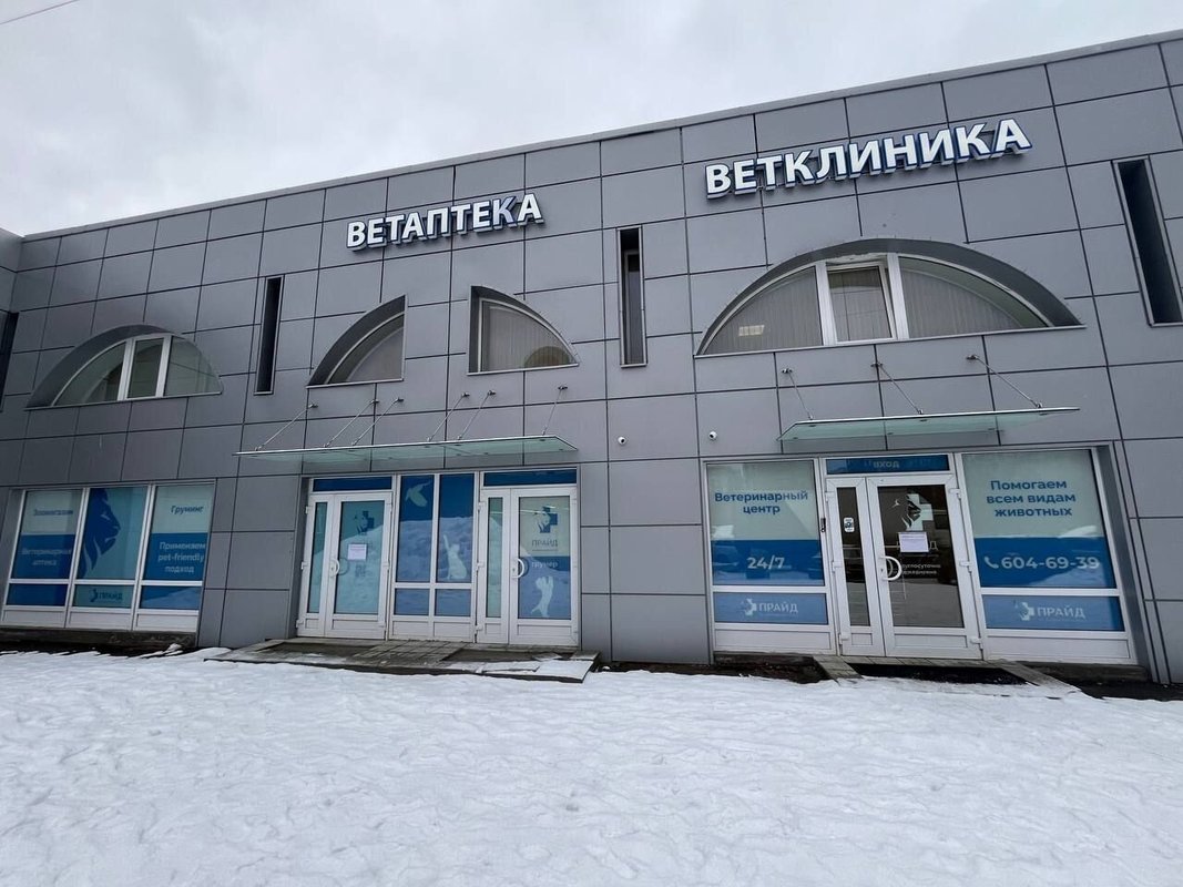 Прайд просп луначарского 60 корп 1б фото