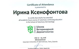 сертификат/документ ветеринара Ирины Владимировны Ефремова (Ксенофонтова)