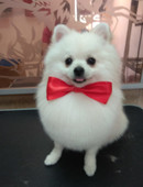 Федорова маргарита алексеевна