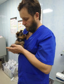 Шапошников Дмитрий Анатольевич