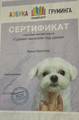 сертификат/документ Зоопарикмахерской ЧерныйПес