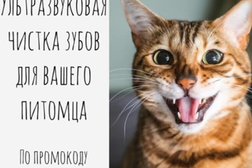 Ветеринарный центр Багира, с рейтингом 4.5 - находится по адресу Сочи, Донская, 15 