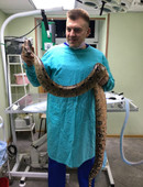 Малашин Роман Николаевич