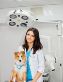 Дичко-Сторожук Виктория Андреевна